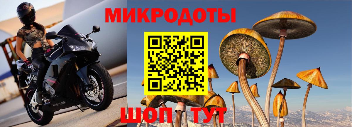 Балаково  Галлюциногенные грибы GOLDEN TEACHER  купить наркотик  Галлюциногенные грибы Psilocybe  Вход с VPN 